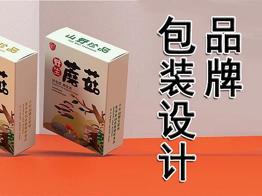 4A级品牌设计公司的高薪就业必备技能—品牌包装设计
