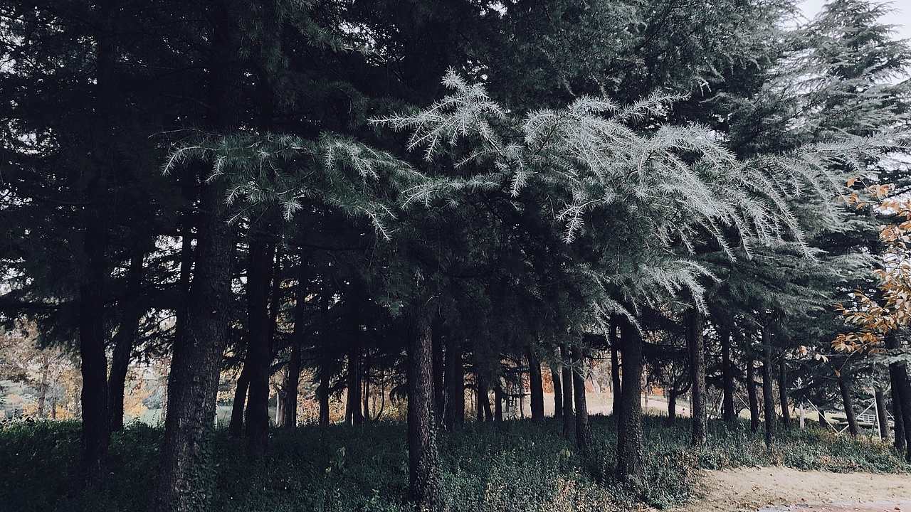 层林尽染（图ZMjc3NzU0MTcy） - 风光摄影 - 站酷设计师平川和也原创素材 - 站酷ZCOOL