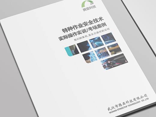 畫冊（個人主頁-ZMzk5ODIwMTI=） - 書籍/畫冊 - 站酷設(shè)計(jì)師抓狂的pink豬原創(chuàng)素材 - 站酷ZCOOL