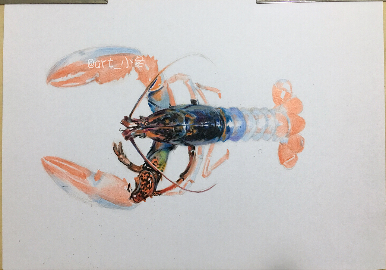 彩铅小龙虾（图ZNzczNTQxMDA=） - 绘画 - 站酷设计师art_小冬原创素材 - 站酷ZCOOL