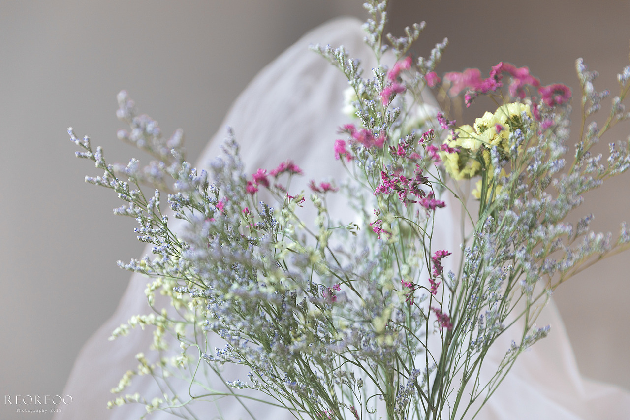 静物摄影——插花（图ZMTUzMTU1ODQw） - 产品摄影 - 站酷设计师酱油豆腐脑原创素材 - 站酷ZCOOL