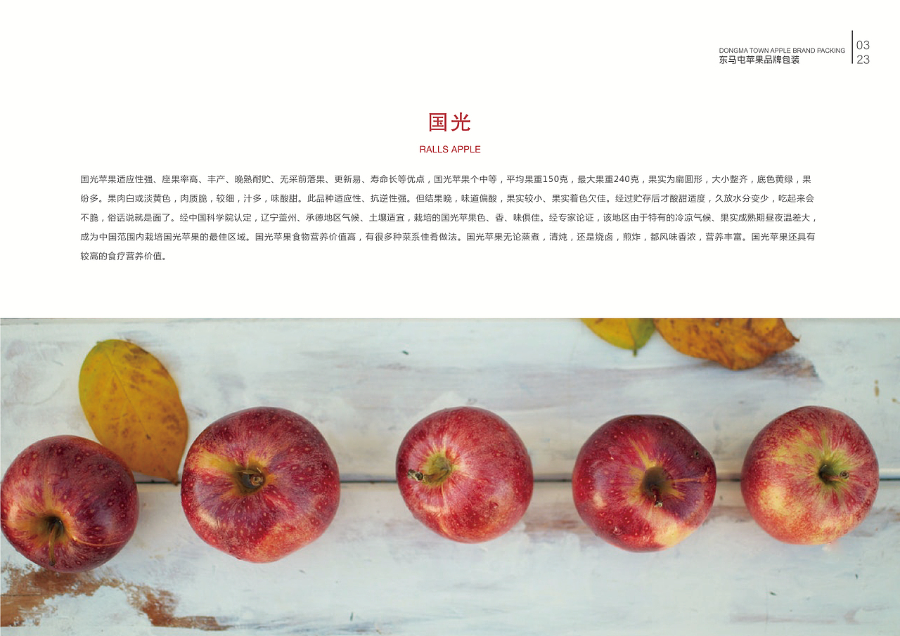 毕业手册（图ZMTY4OTc5NTU2） - 书籍/画册 - 站酷设计师zln张丽娜原创素材 - 站酷ZCOOL