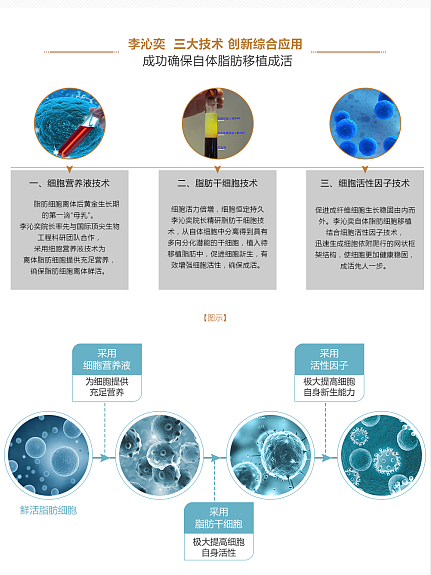 整形美容专题（图ZNzgwOTkwNTI=） - 运营设计 - 站酷设计师呆萌灵宠原创素材 - 站酷ZCOOL