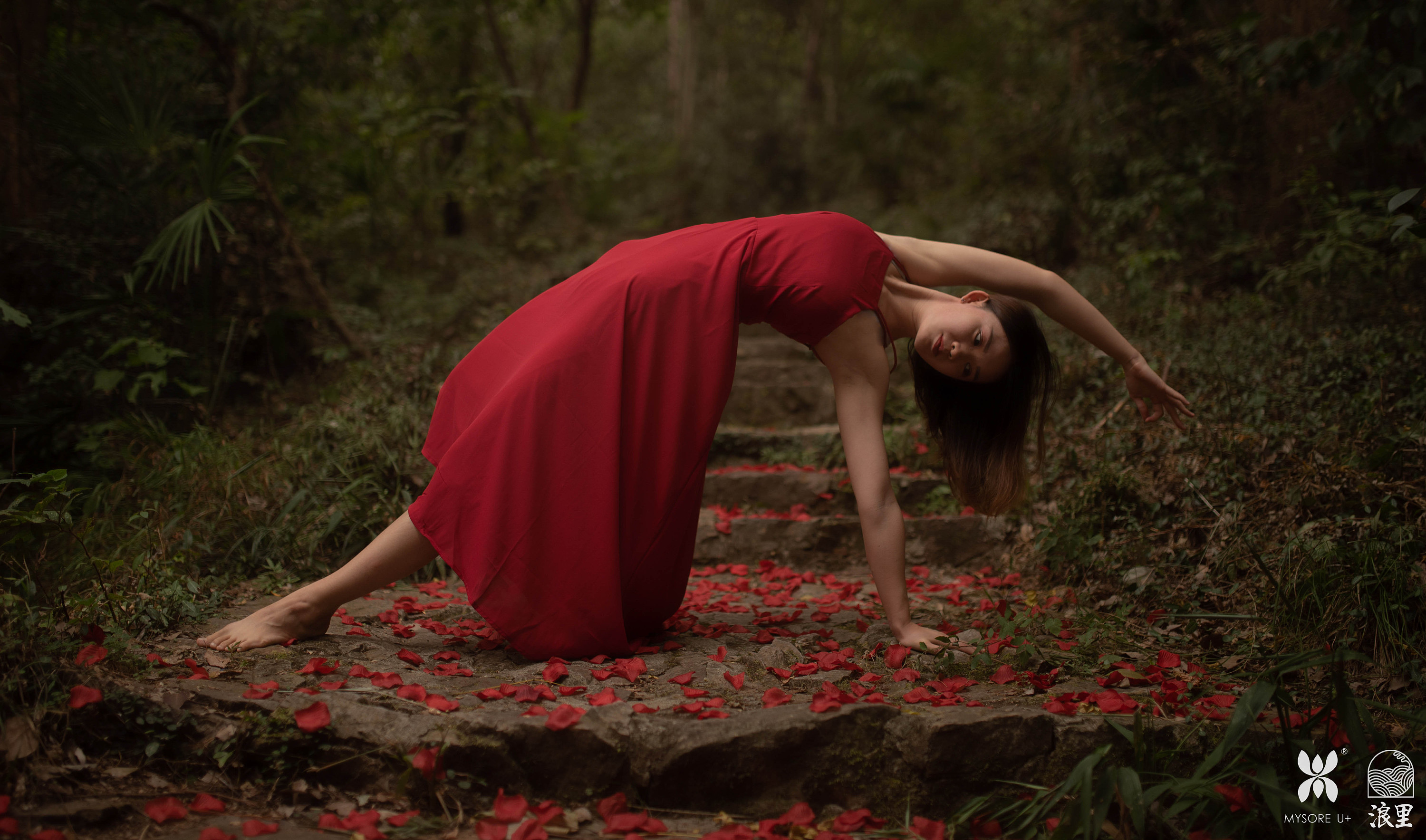 【浪里视觉】瑜伽森林系列