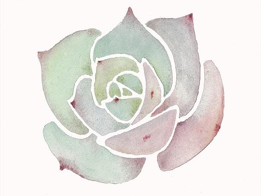 多肉2（個人主頁-ZNTA0MDkzOTY=） - 藝術(shù)插畫 - 站酷設(shè)計師臟男孩原創(chuàng)素材 - 站酷ZCOOL