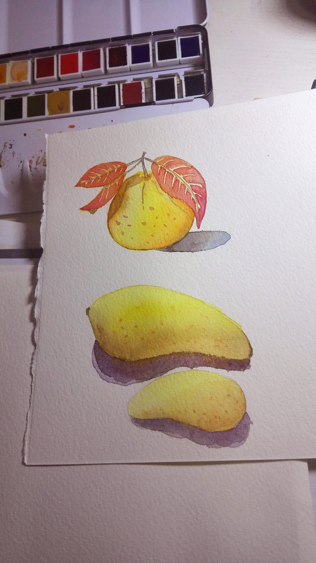 清透水彩 逼真芒果