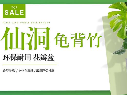 肉趣绿植banner设计展示