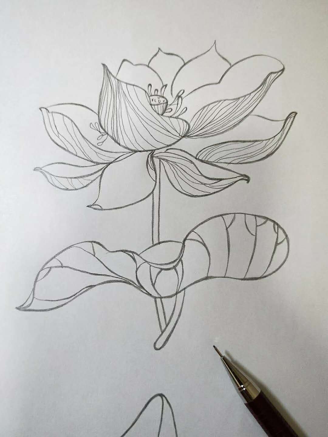 临摹作品 (非原创)2018.5