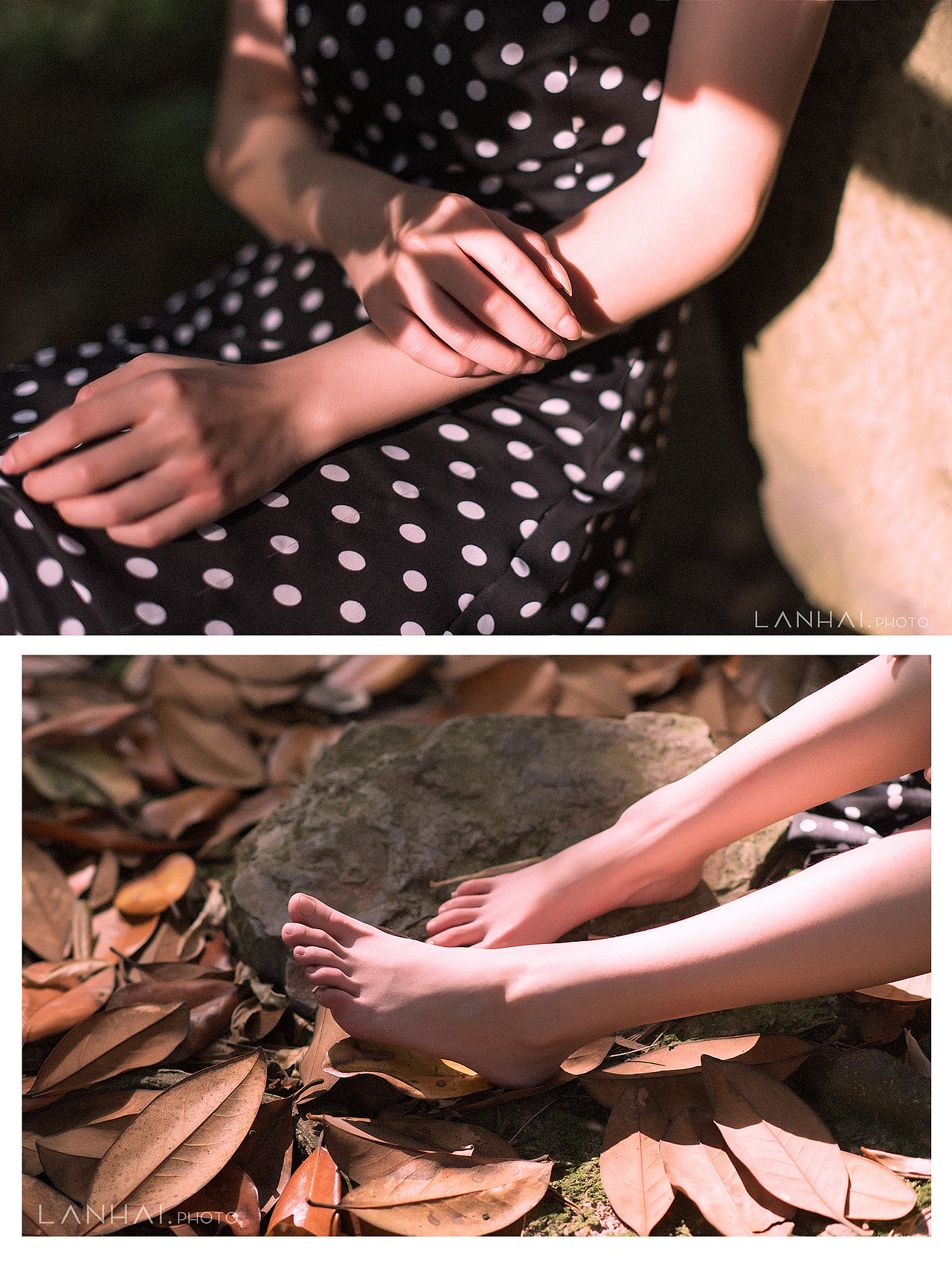 阳光下,是一道纤绝的尘陌。