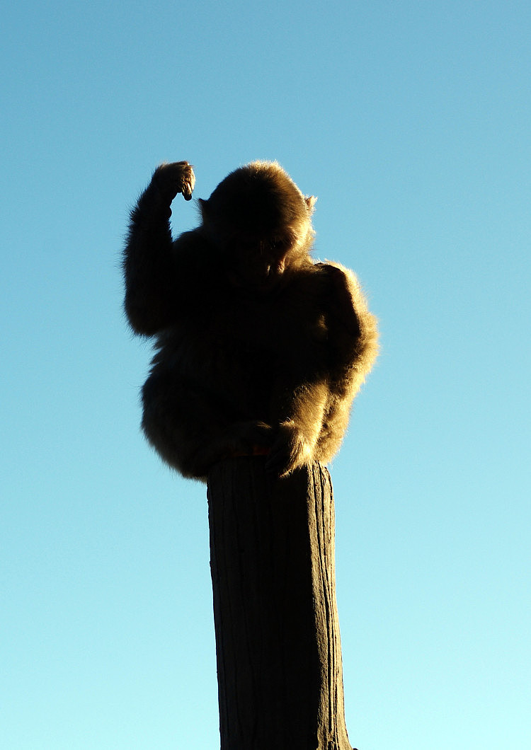 光与海，冰与雾（图ZNzI3MDgyODg=） - 风光摄影 - 站酷设计师suki1011原创素材 - 站酷ZCOOL