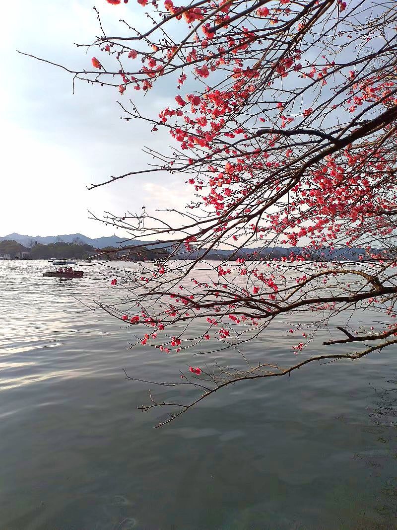 杭州.柳浪闻莺公园（2月打卡）（图ZMzY0Mjk3NTUy） - 风光摄影 - 站酷设计师东逛西摄原创素材 - 站酷ZCOOL