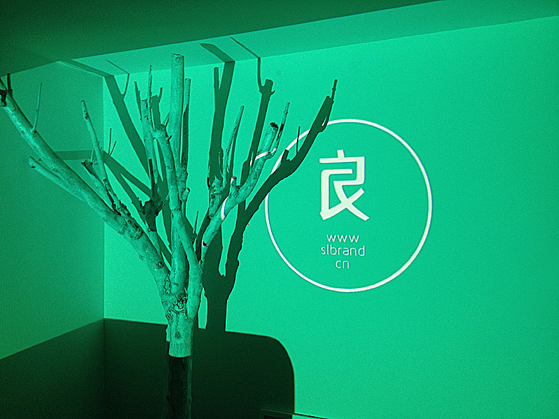 呈现效果