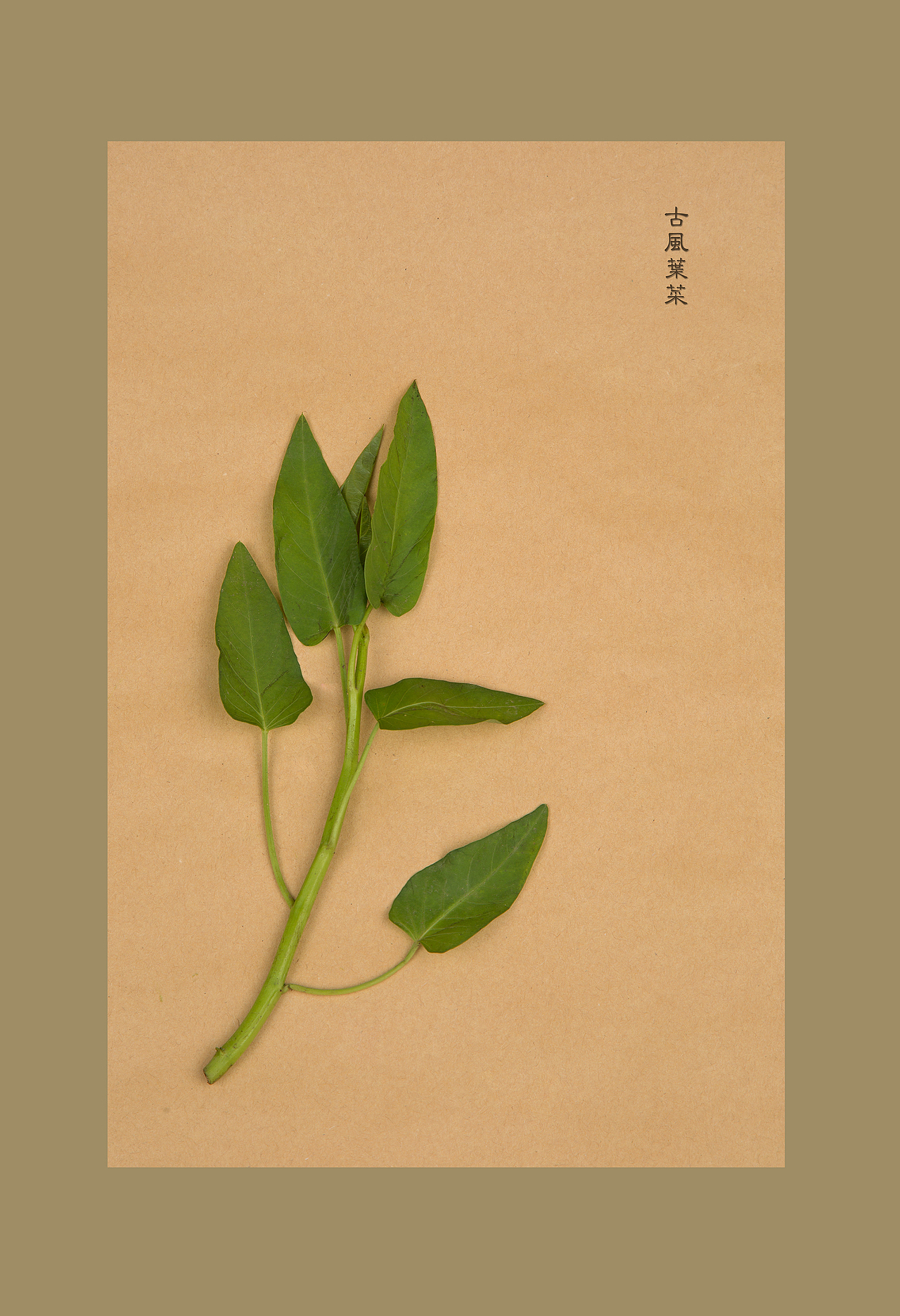 古風(fēng)食意（圖ZNjE4MDI5MjA=） - 產(chǎn)品攝影 - 站酷設(shè)計(jì)師蔣小那原創(chuàng)素材 - 站酷ZCOOL