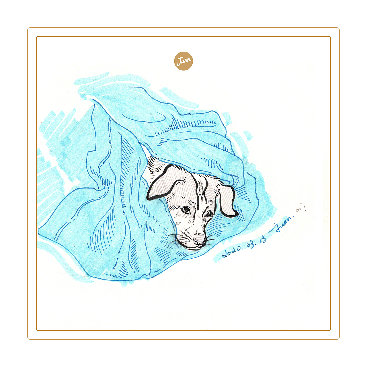 宠物速写（图ZMjA0Mzc1Nzk2） - 创作习作 - 站酷设计师刘晓娟JUAN原创素材 - 站酷ZCOOL