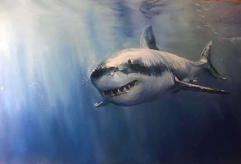 近期的水彩和油画