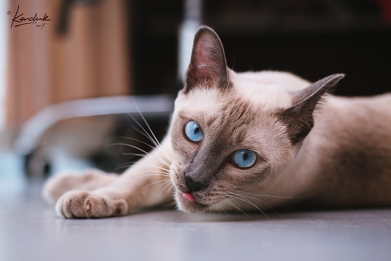 眼中的星辰大海【克查原创作品23】 