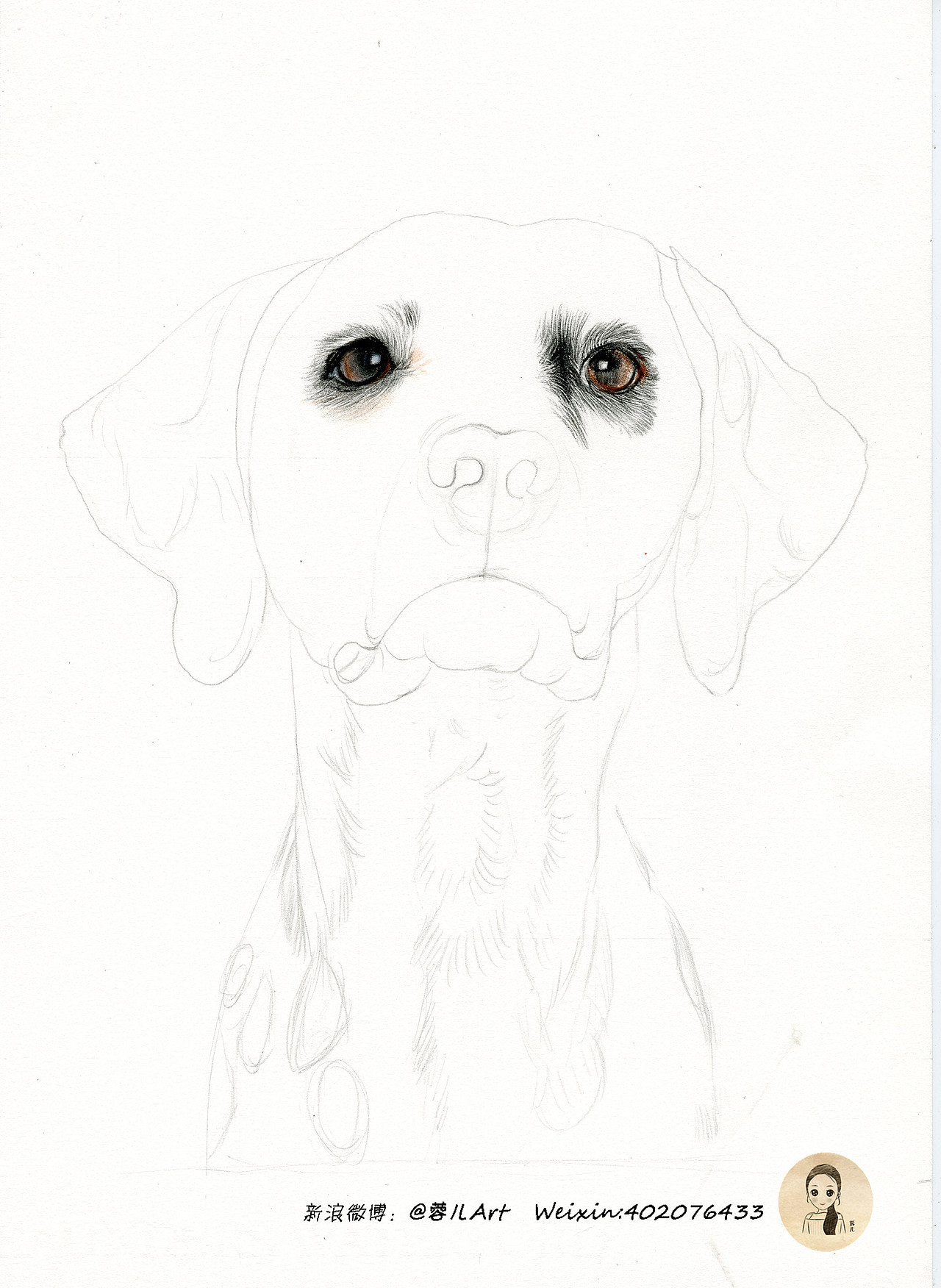 斑点狗彩铅动物