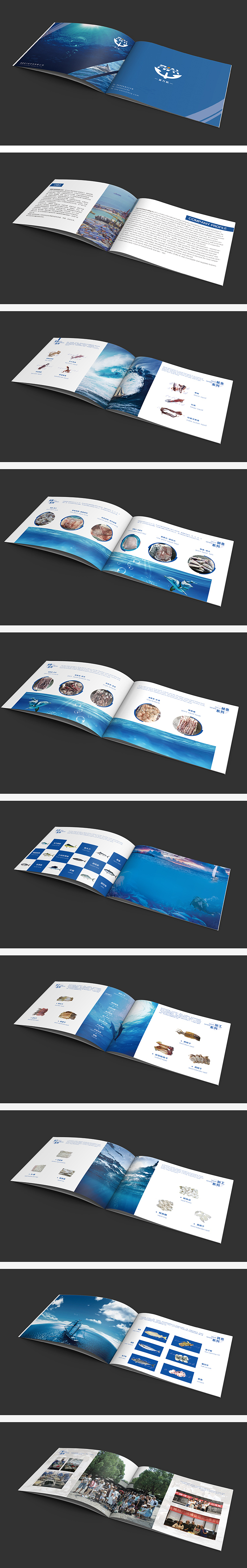 富万航 海产品进出口贸易的画册设计（图ZMTM0OTYwNzIw） - 书籍/画册 - 站酷设计师古月哥欠vv原创素材 - 站酷ZCOOL