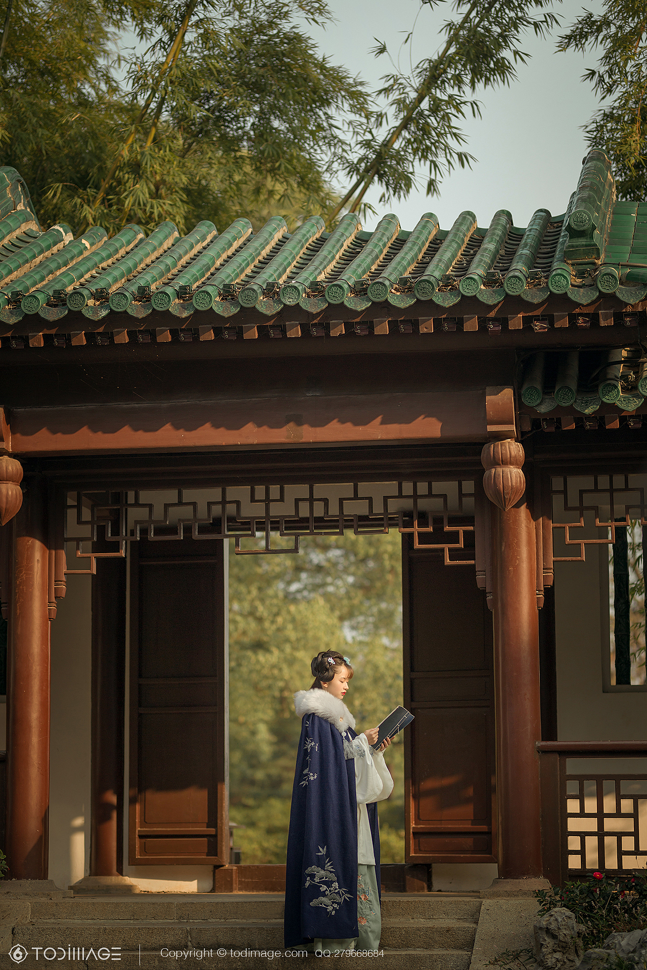 古风人像《阅秋图》