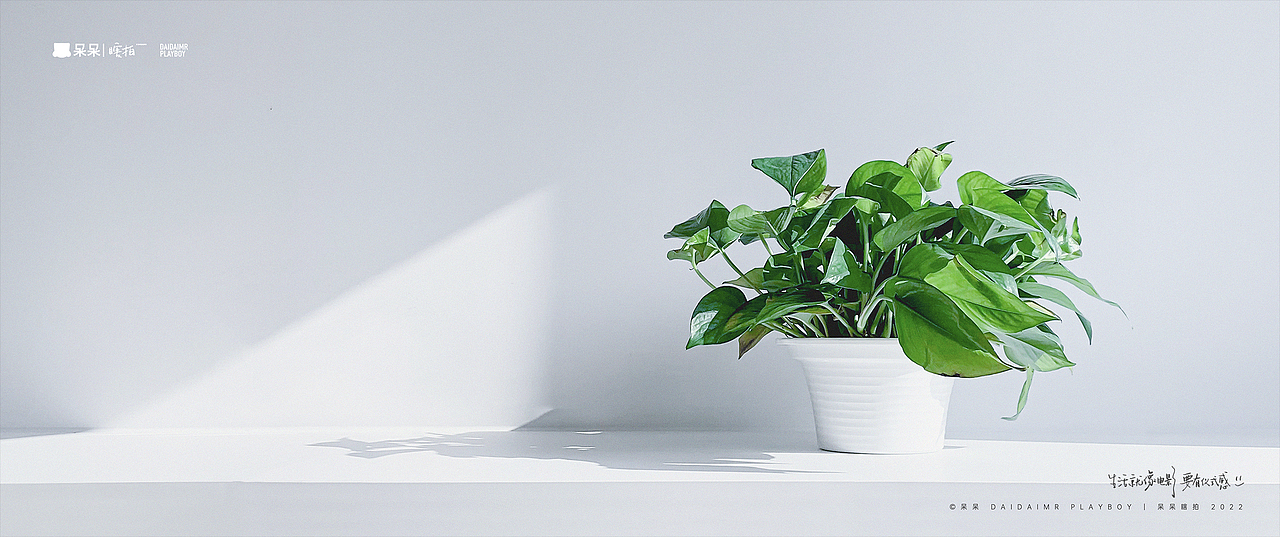 呆呆瞎拍 | 生·活（图ZMjg5MzU4MjA0） - 人文/纪实摄影 - 站酷设计师呆小东原创素材 - 站酷ZCOOL