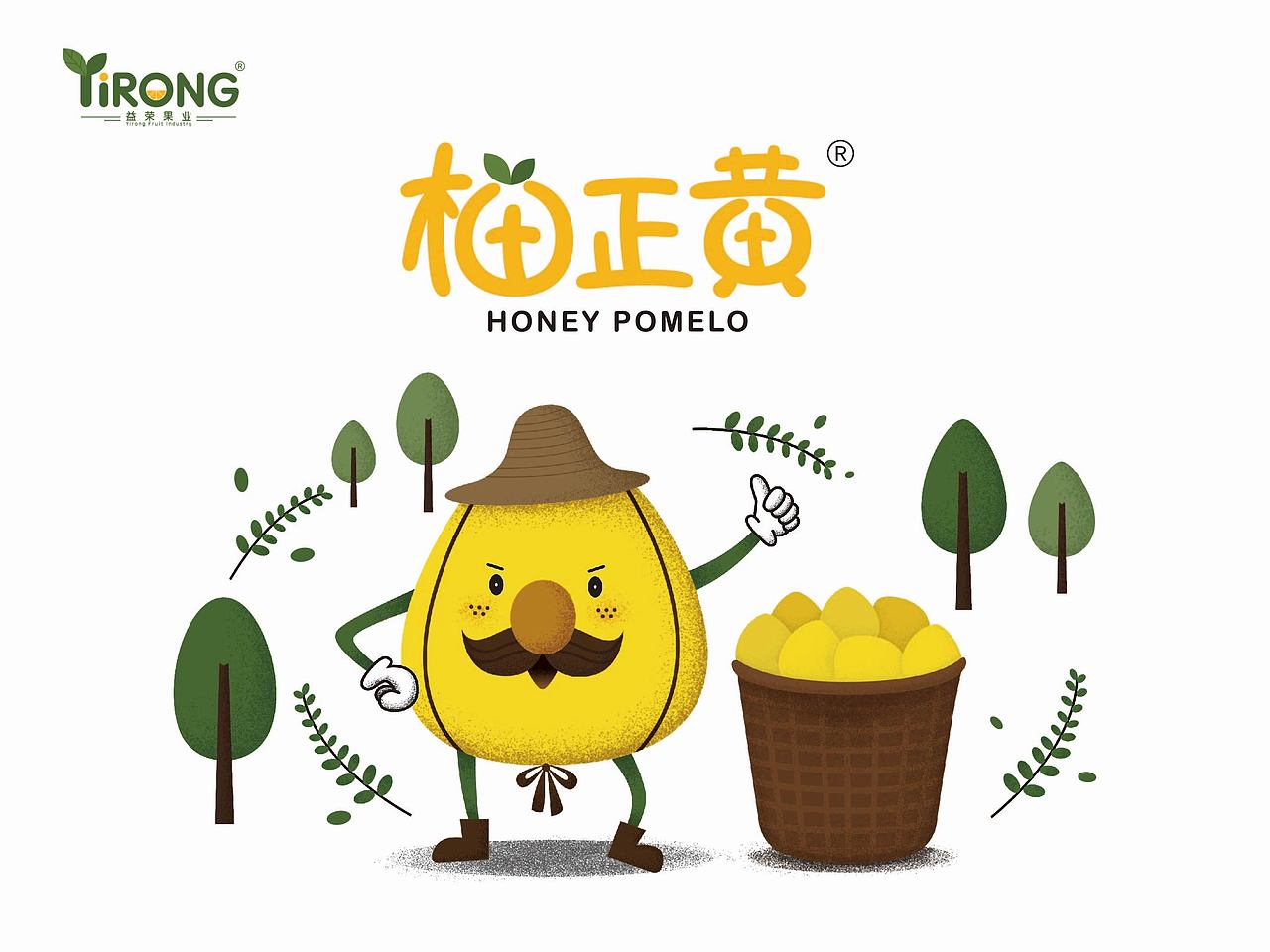 【柚正黄】黄肉蜜柚包装设计/卡通形象设计