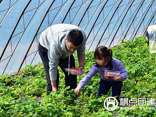 棋点团建出品|北京公司京津分公司2021年团建活动