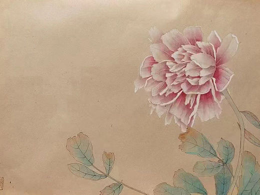 戴泽，精品牡丹， 39*27，有合影视频