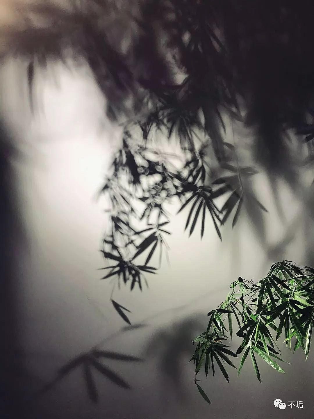 景德镇·器物之美(图ZMjQzNzQwMzA0) - 风光摄影 - 站酷设计师不垢原创素材 - 站酷ZCOOL