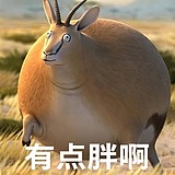 有点胖啊的头像