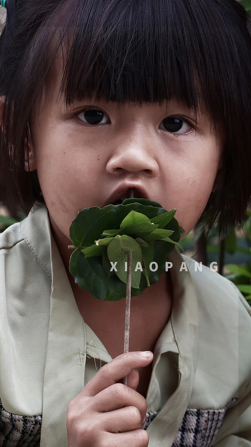 叁月视觉|美在眼里|拉祜族人文|勐海贺开古茶园