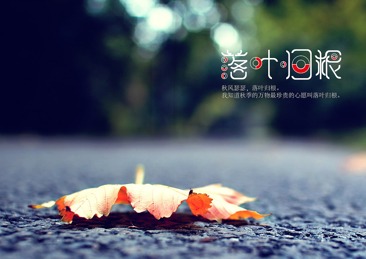 落叶归根字体设计