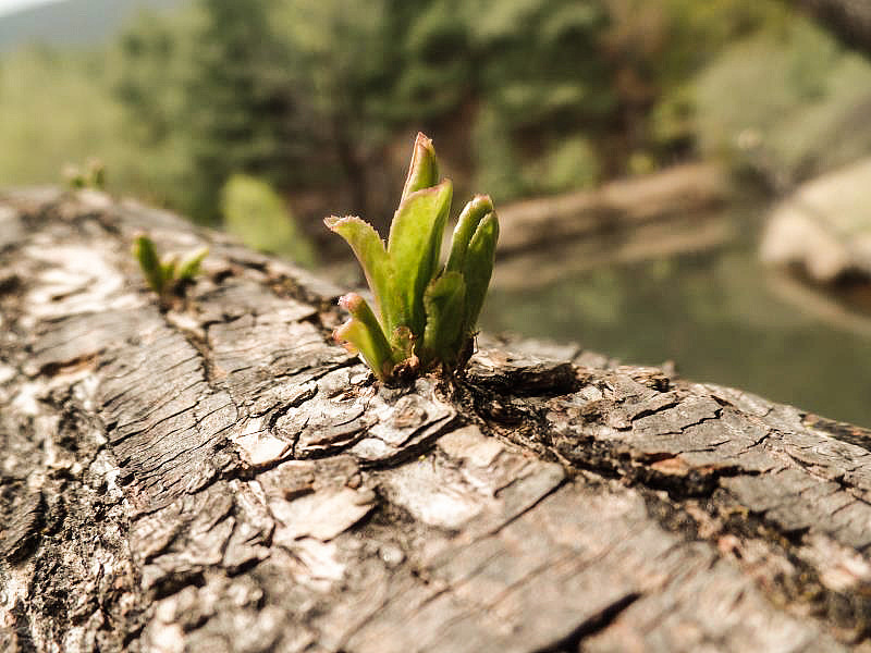 业余摄影（图ZMTEzMTYzMTc2） - 风光摄影 - 站酷设计师做图小怪兽原创素材 - 站酷ZCOOL