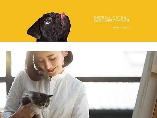 关于宠物的网页
