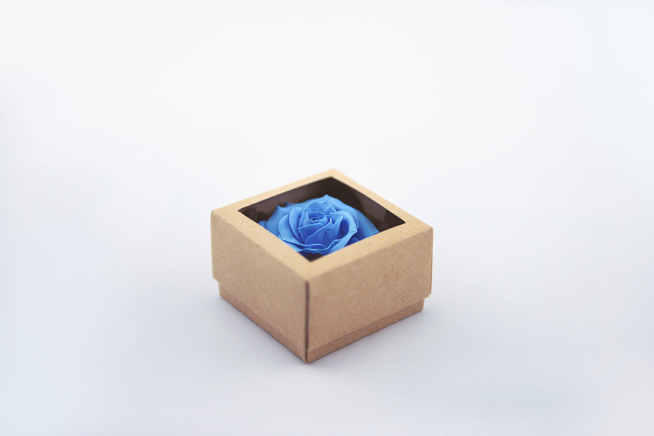 超轻粘土——玫瑰花