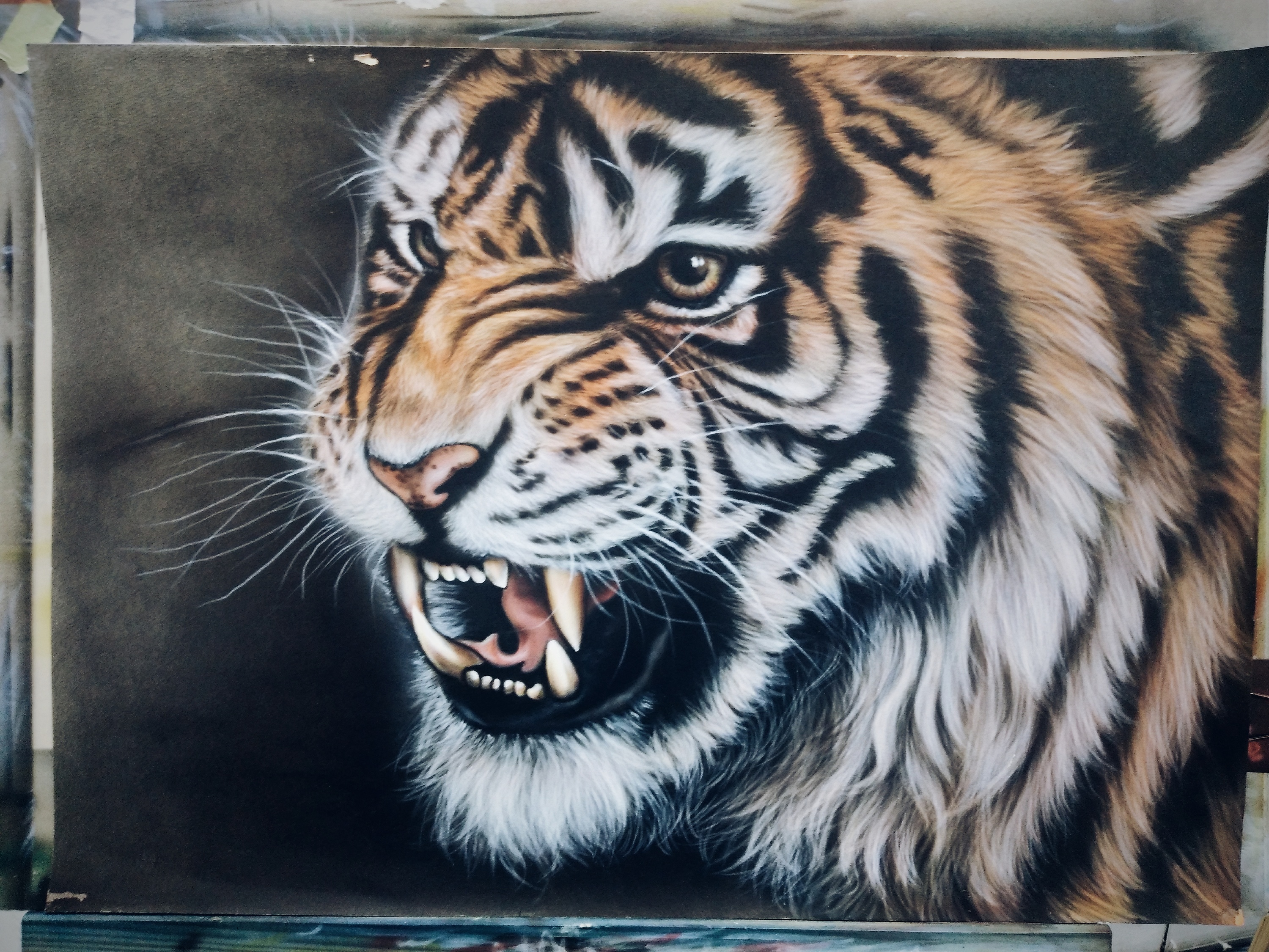 老虎年兽彩画图片