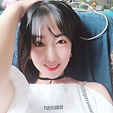 年糕是只猫的头像