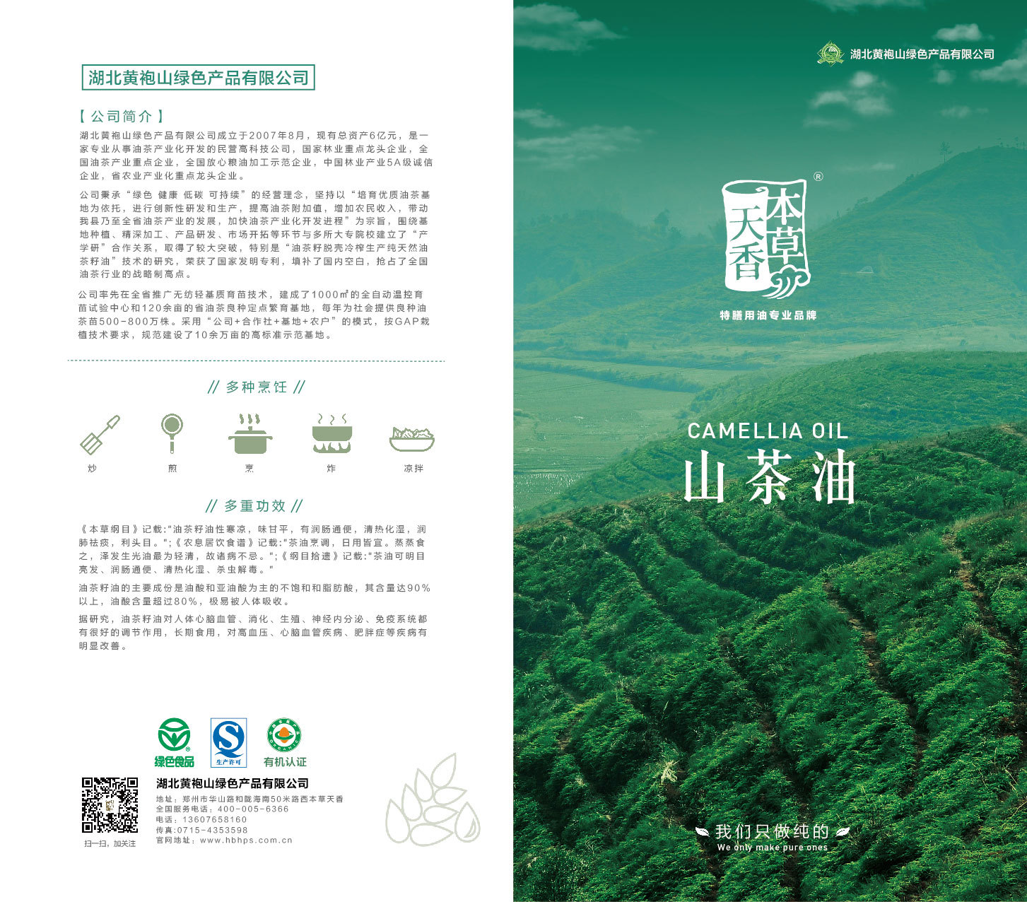 山茶油折页设计