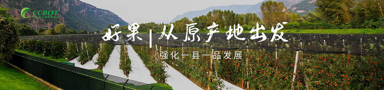 全屏banner（图ZMjE4NDM2OTUy） - 海报 - 站酷设计师lvyajun918912原创素材 - 站酷ZCOOL