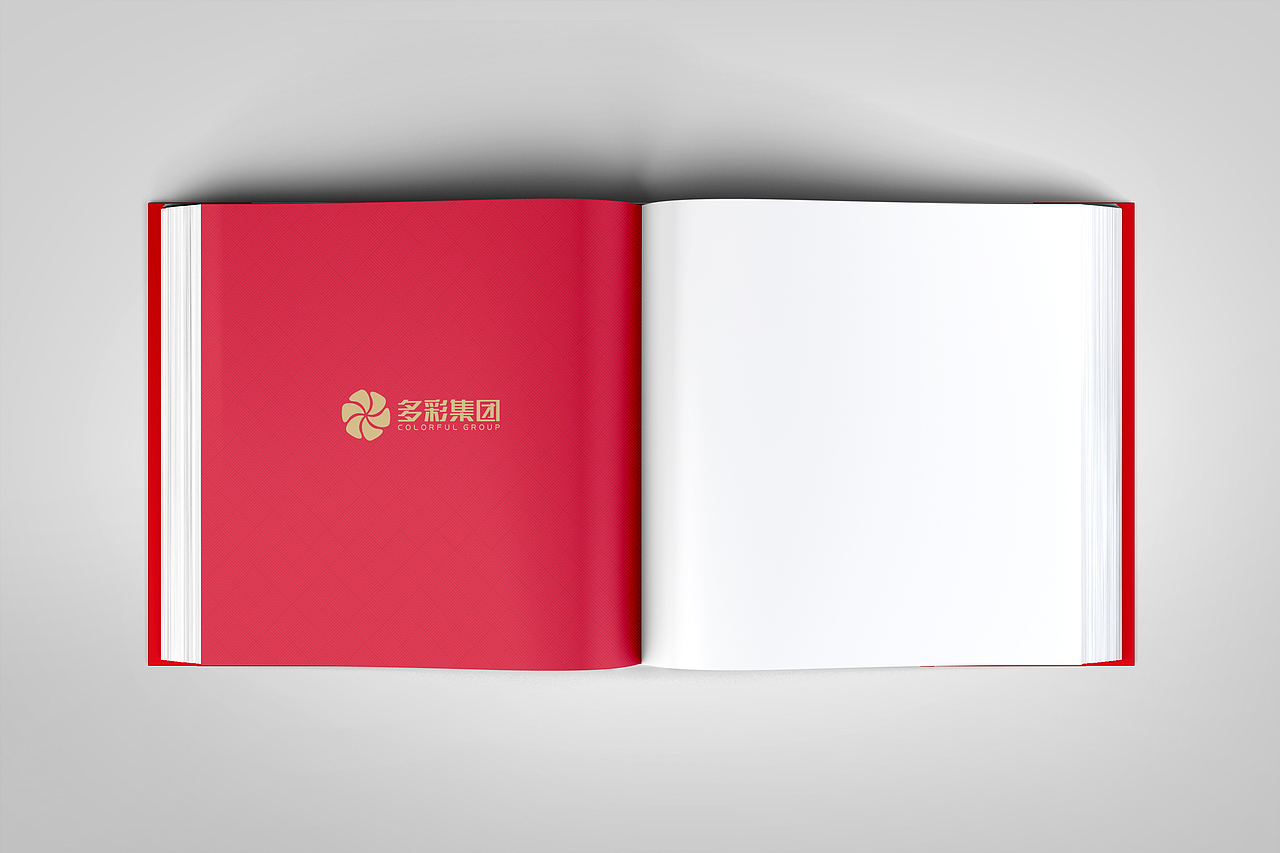 多彩集团/画册设计