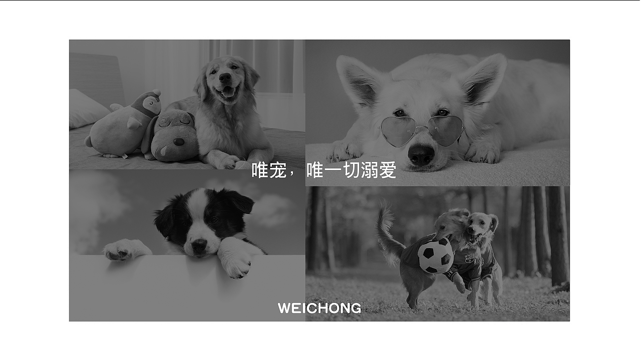 唯宠logo|宠标志|商城|个人logo（图ZMjU2Njc3Njc2） - Logo - 站酷设计师土豆_Lix原创素材 - 站酷ZCOOL