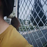 是九木呀的头像