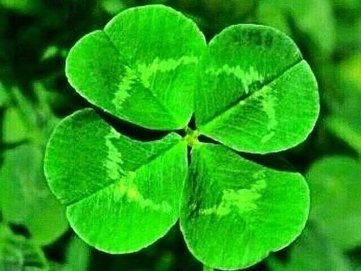 书籍装帧--练习版