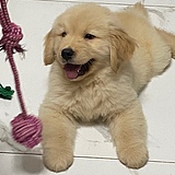 念旧但不拾荒的头像
