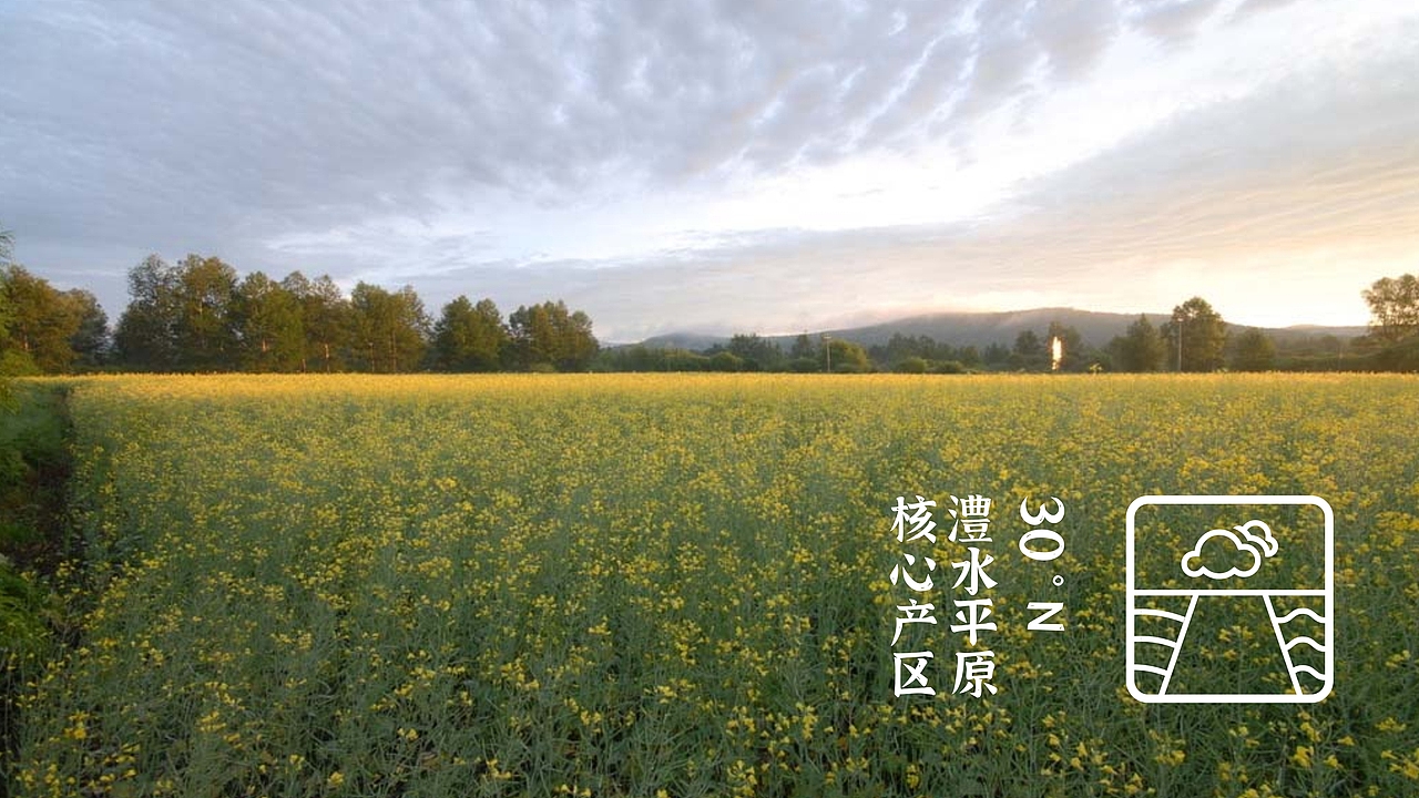 园丰脐橙——长在石漠岩上的园丰橙