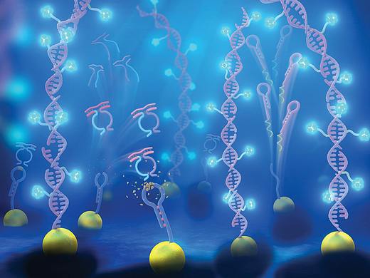 科研绘图SCI画图学术杂志封面设计TOC示意图医学插图