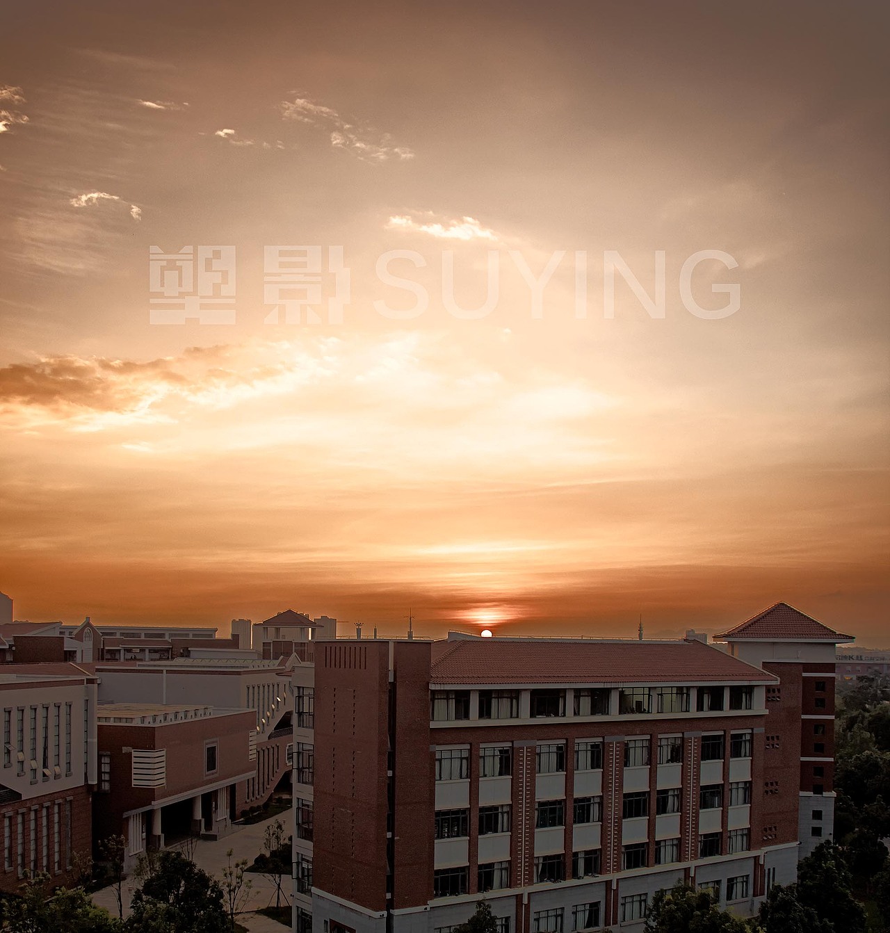 致即将毕业的我