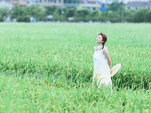 夏天 稻田 少女 蒲扇