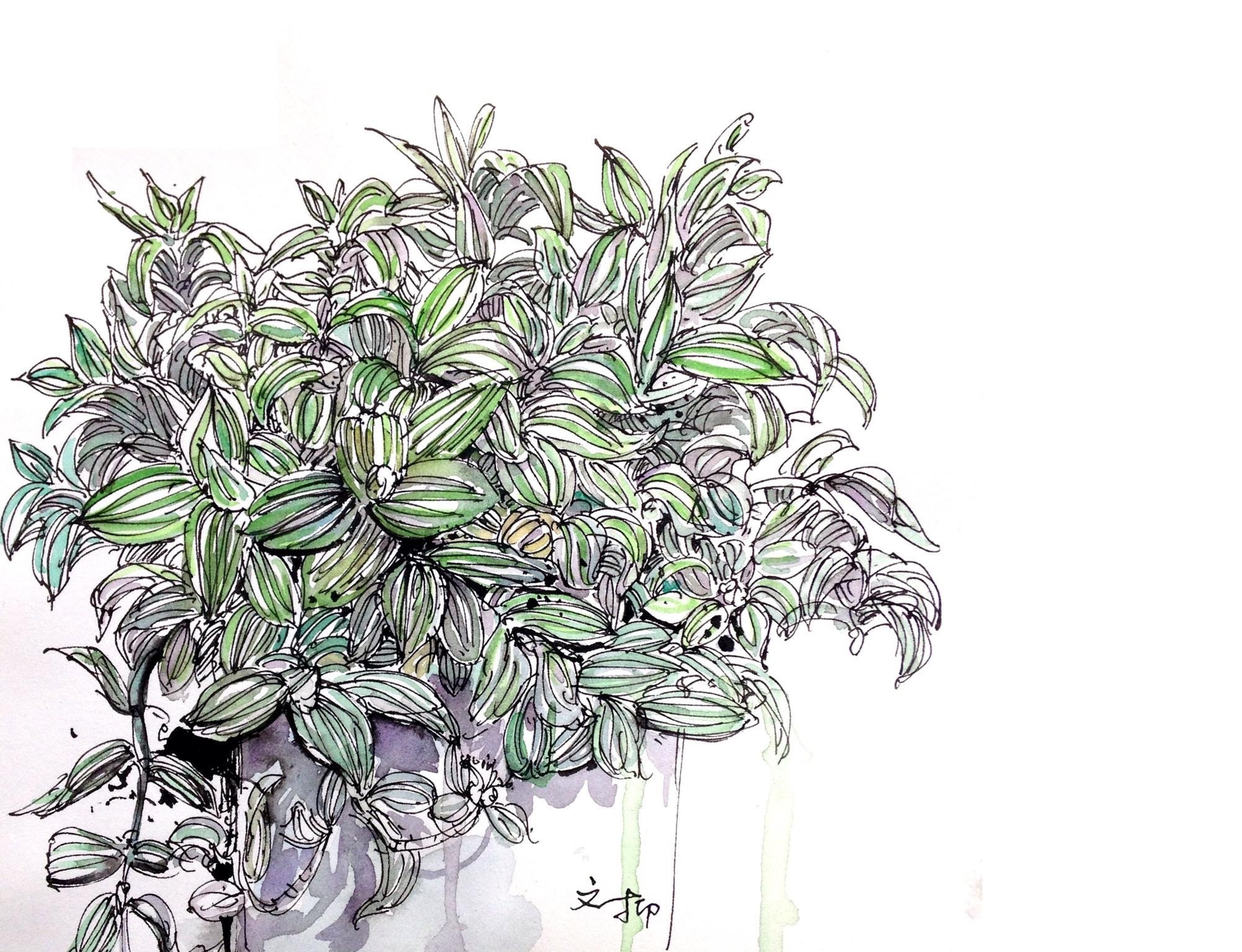 钢笔淡彩【文抑】|纯艺术|速写|文抑 - 原创作品 - 站酷 (zcool)