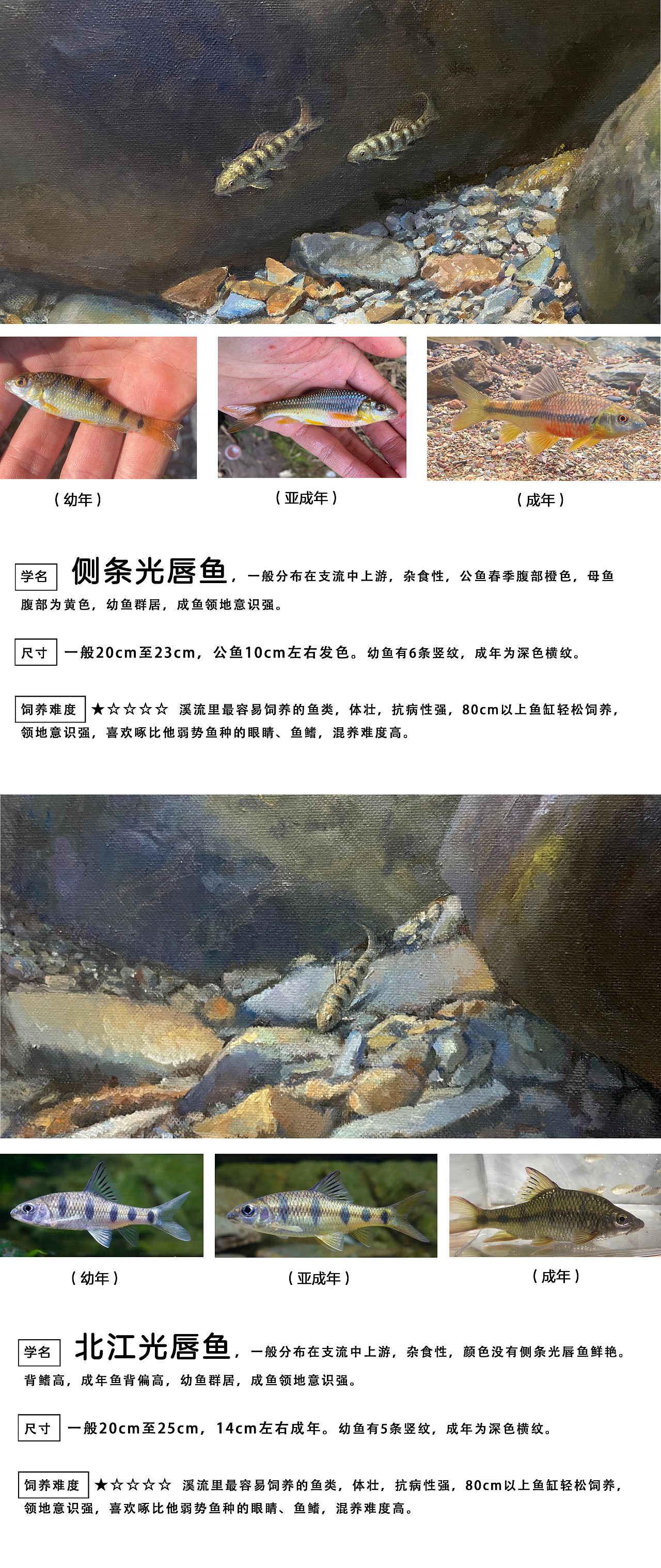 水底场景科普（图ZMzM2NTYxMzU2） - 绘画 - 站酷设计师雷娄煤原创素材 - 站酷ZCOOL