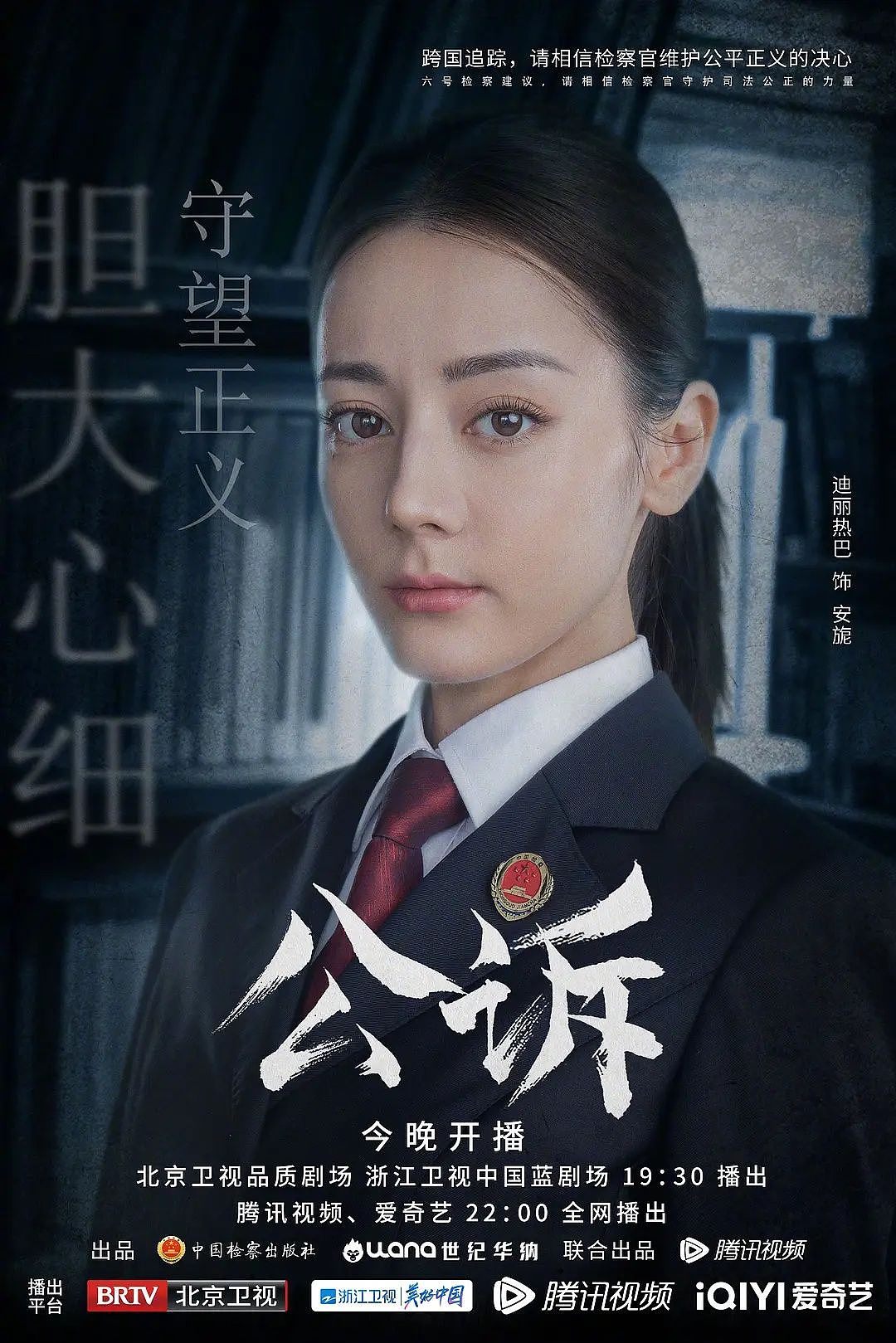 电视剧公诉海报